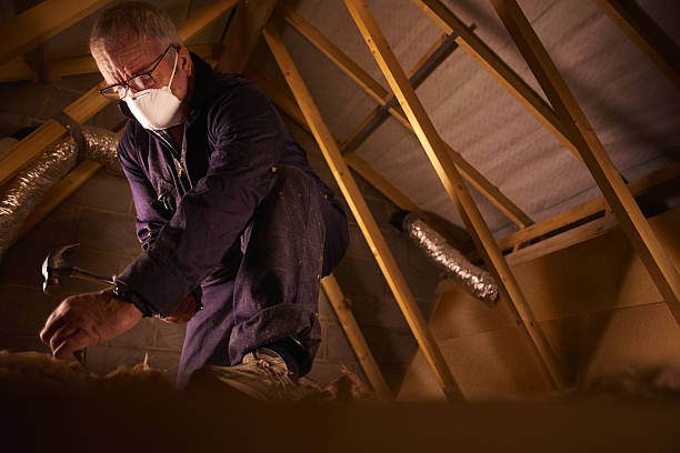 Best Insulation Maintenance and Repair in Clay, CA